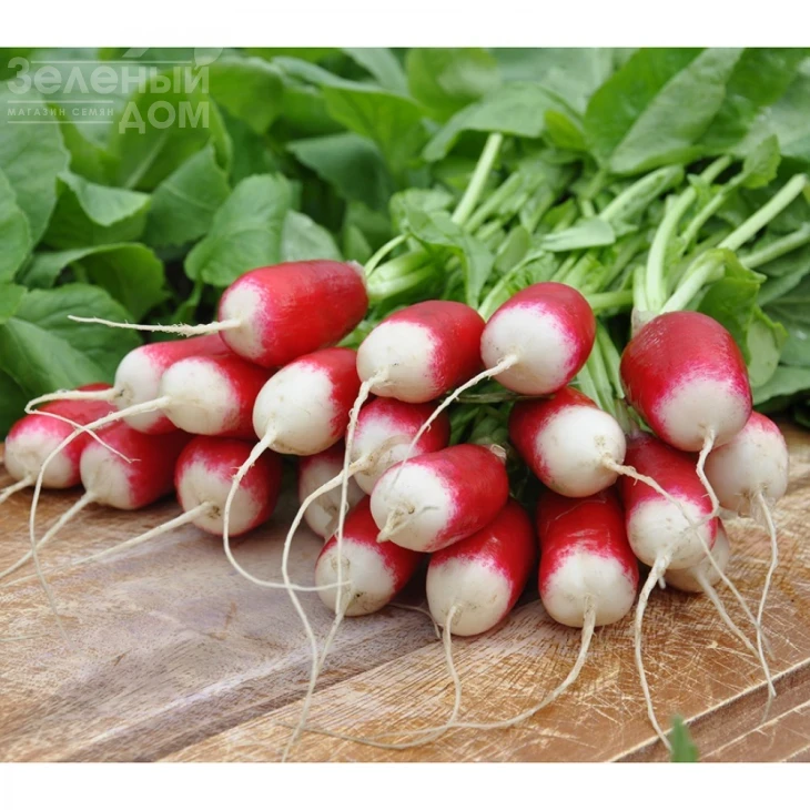 Экспо F1 / Ecspo F1,18-22 дня фото 1