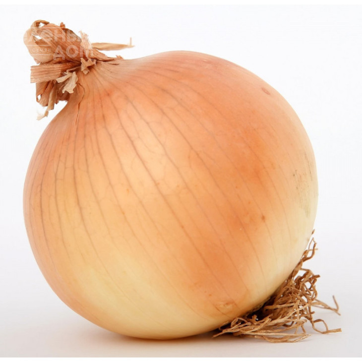 ПХ 07713119 F1 / PX 07713119 F1 фото 1