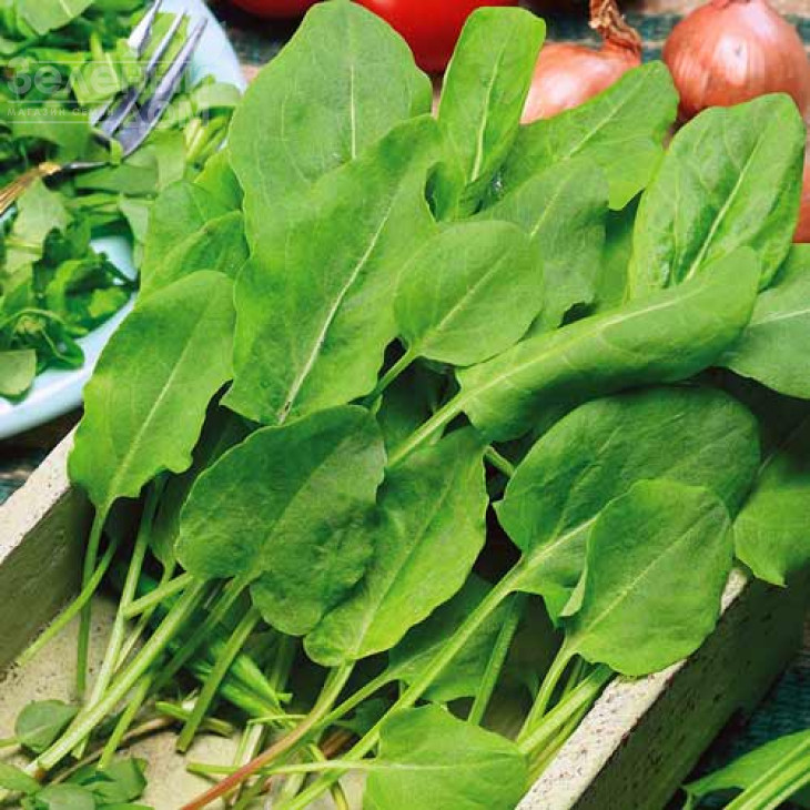 Бельвільський / Belvilskiy фото 1