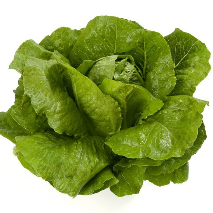 Вікторінус / Victorinus фото 1