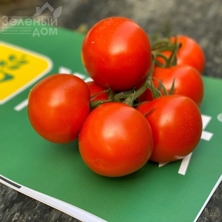 Буллз F1 / Bullz F1 фото 3