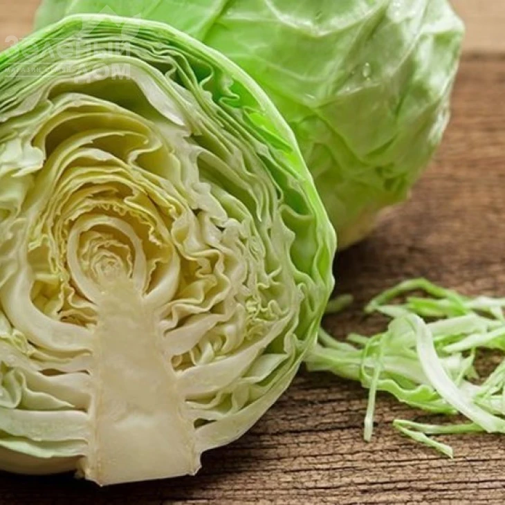 Хызыр / Hezer,70-75 дней фото 1