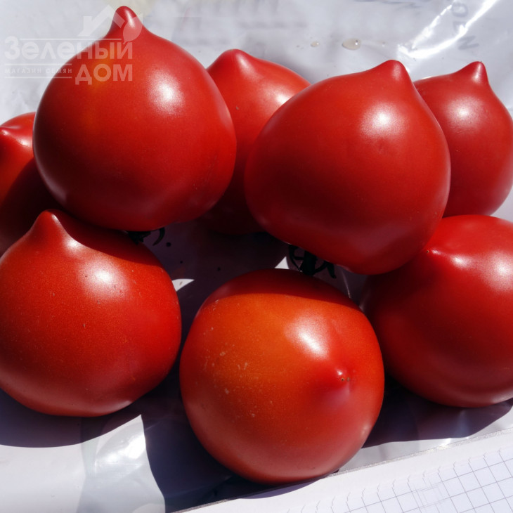 Тапер F1 / Taper F1 фото 1