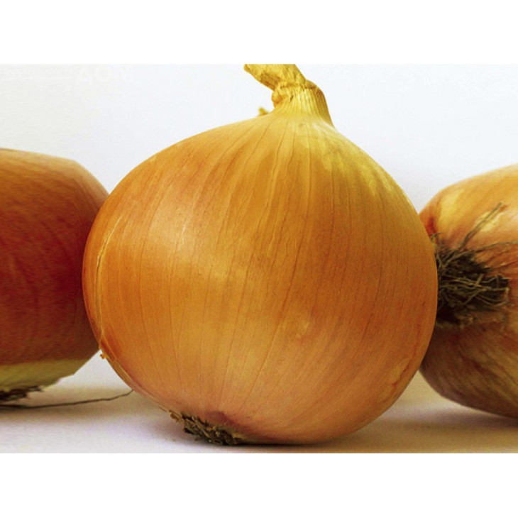 Ламіка F1 / Lamyca F1 фото 1