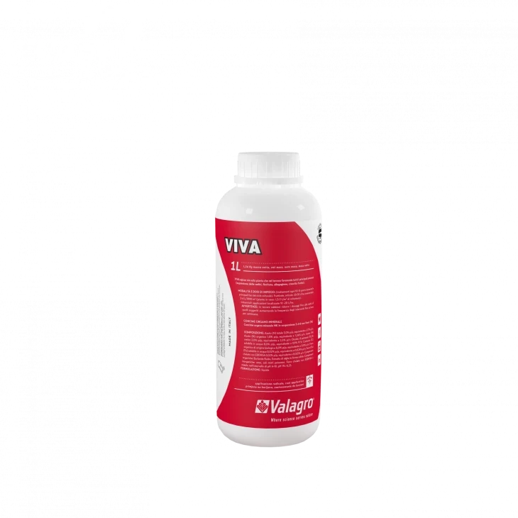 Вива / Viva фото 1