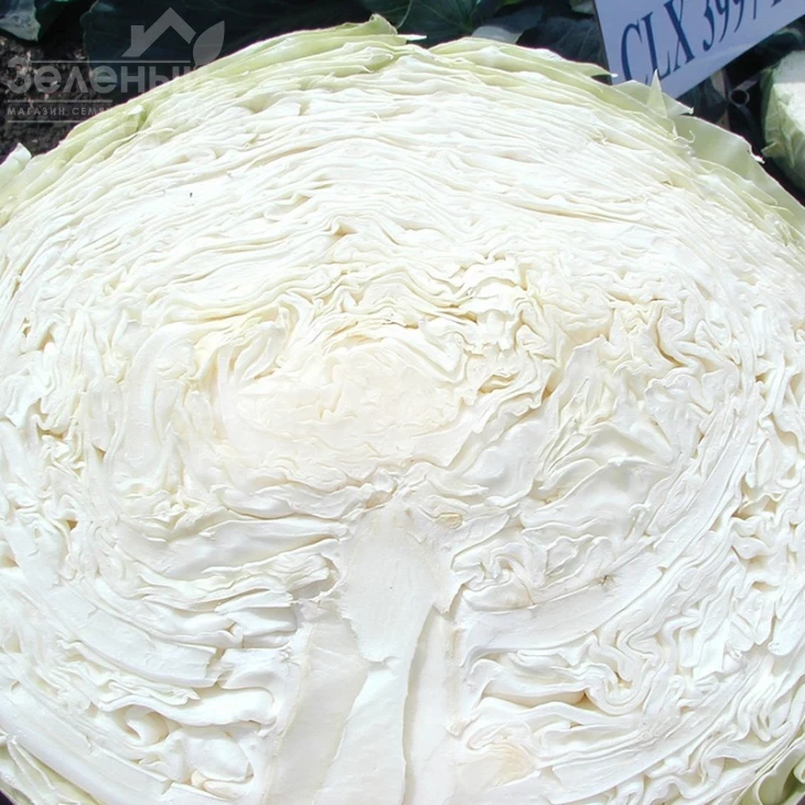 Браво F1 / Bravo F1,90-100 дней фото 3