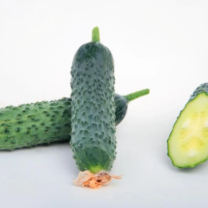 Джуниор F1 (LS 1906) / Junior F1 (LS 1906) фото 5