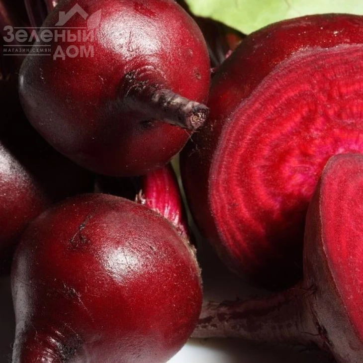 Красный шар / Krasniy Shar, 95-105 дней фото 1