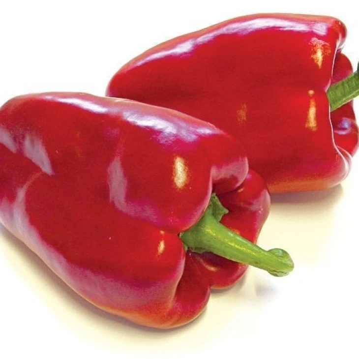 Клаудио F1 / Claudio F1,72-80 дней фото 1