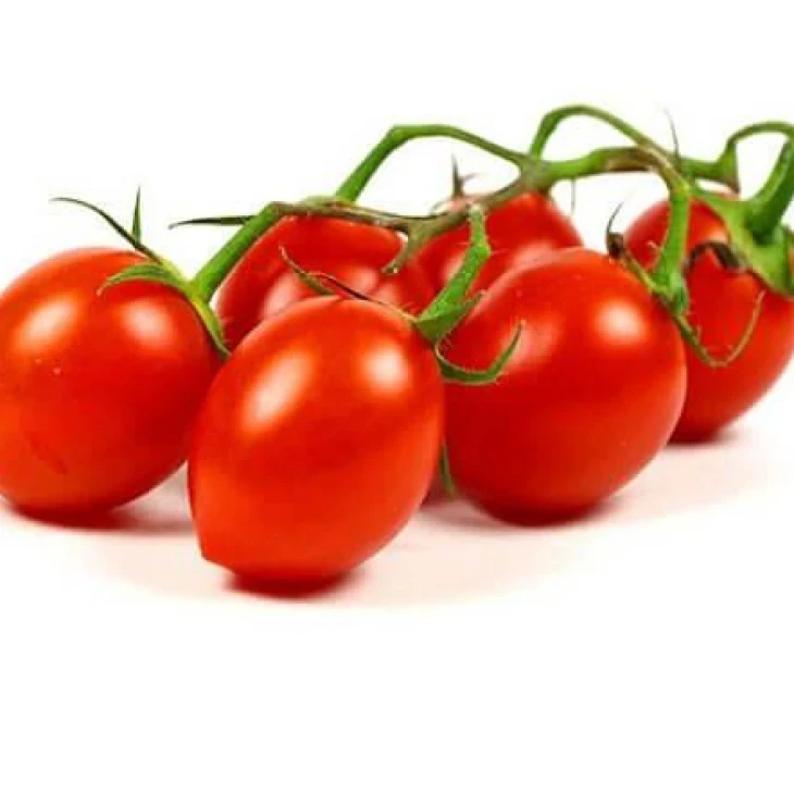 Люси Плюс F1 / Luci Plus F1,95-100 дней фото 2