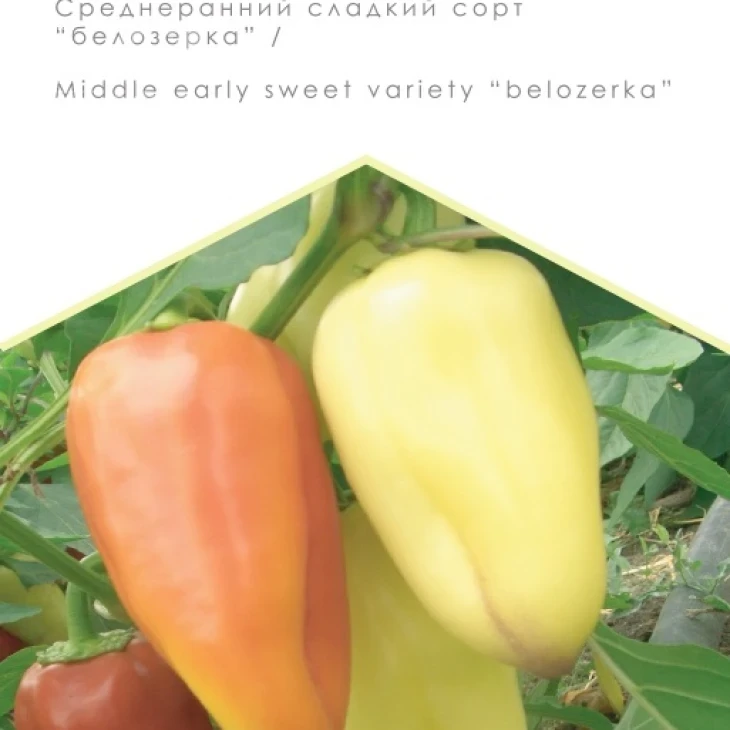 Велизарий  / Velizariy фото 1