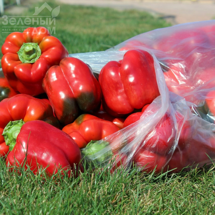 Червоний лицар X3R  F1 / Red Knight X3R F1 фото 2