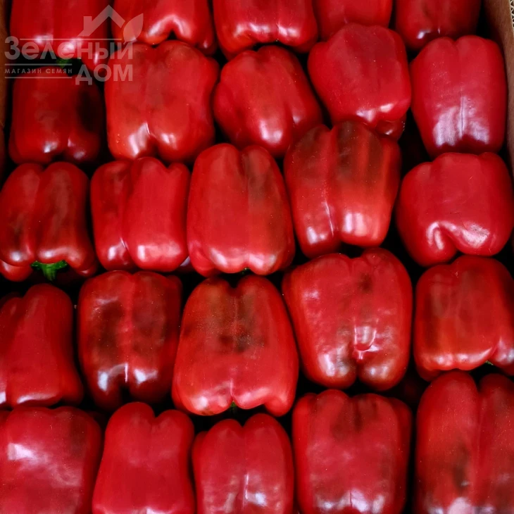 Брабус F1 (PBRS 20336) / Brabus F1  фото 4