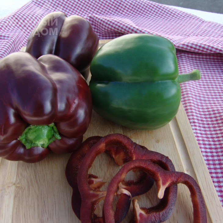 Інгрід / Ingrid фото 1