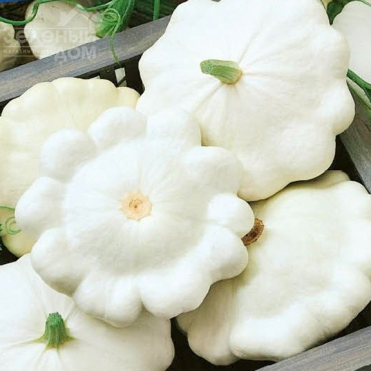 Делікатес / Delikates фото 1