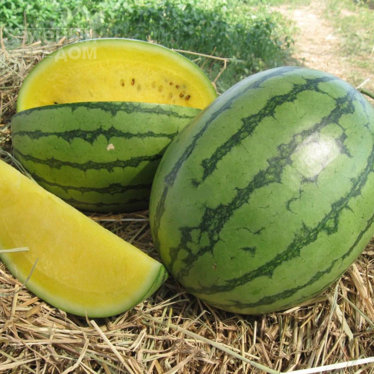 Єллов Лав F1 / Yellow Love F1 фото 1