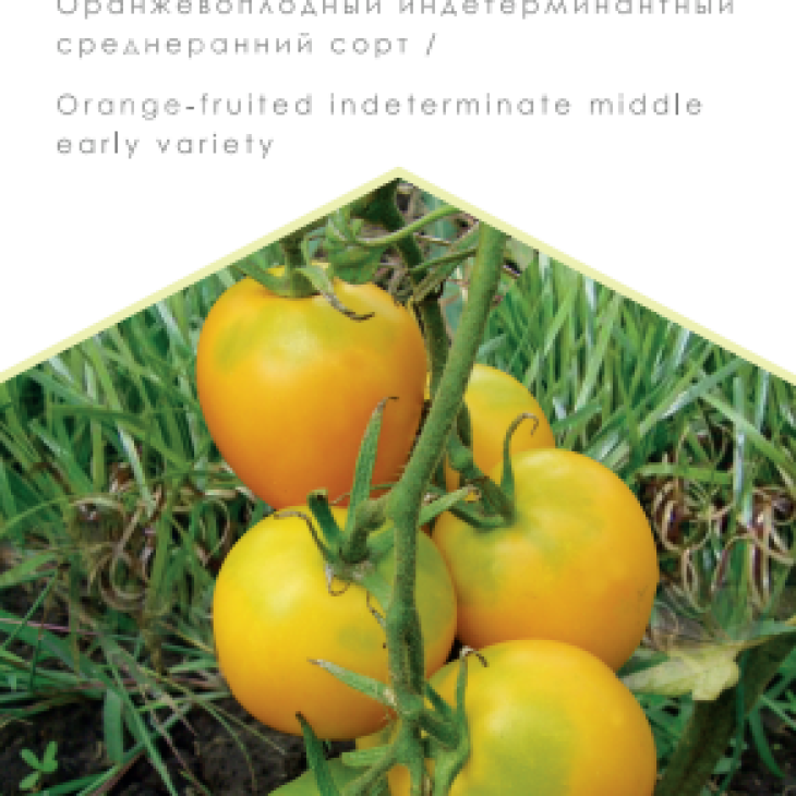 Де барао золотий / De barao zolotoy фото 1