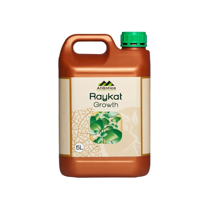 Райкат Рост / Raykat Rost фото 1