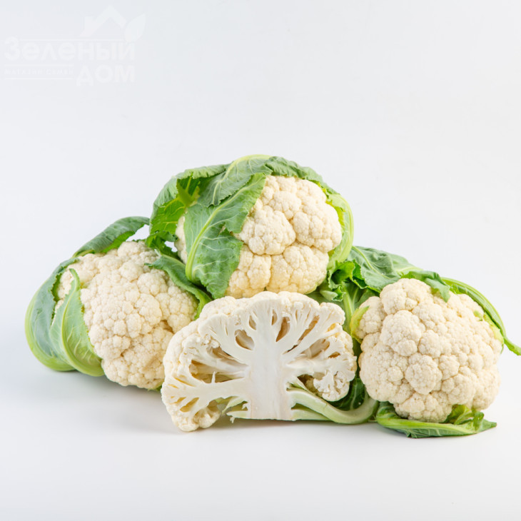 Абені F1 / Abeni F1,63 дні фото 4