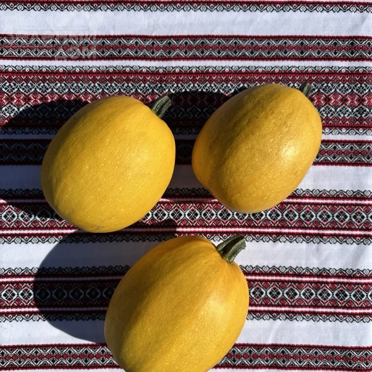 Альденте F1 / Aldente F1  фото 1