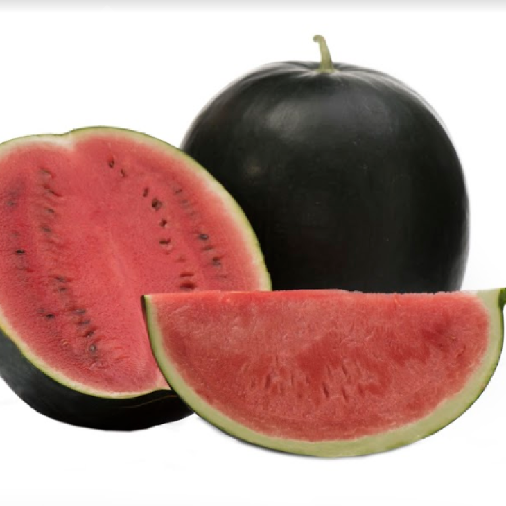 Маніса F1 / Manisa F1 фото 3