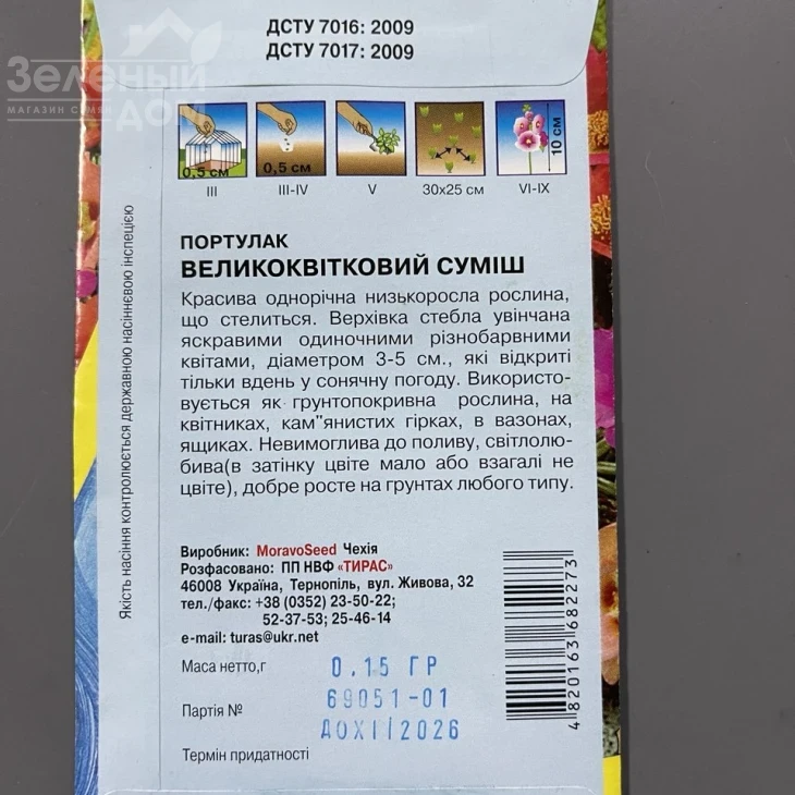 Портулак великоквітковий  фото 2