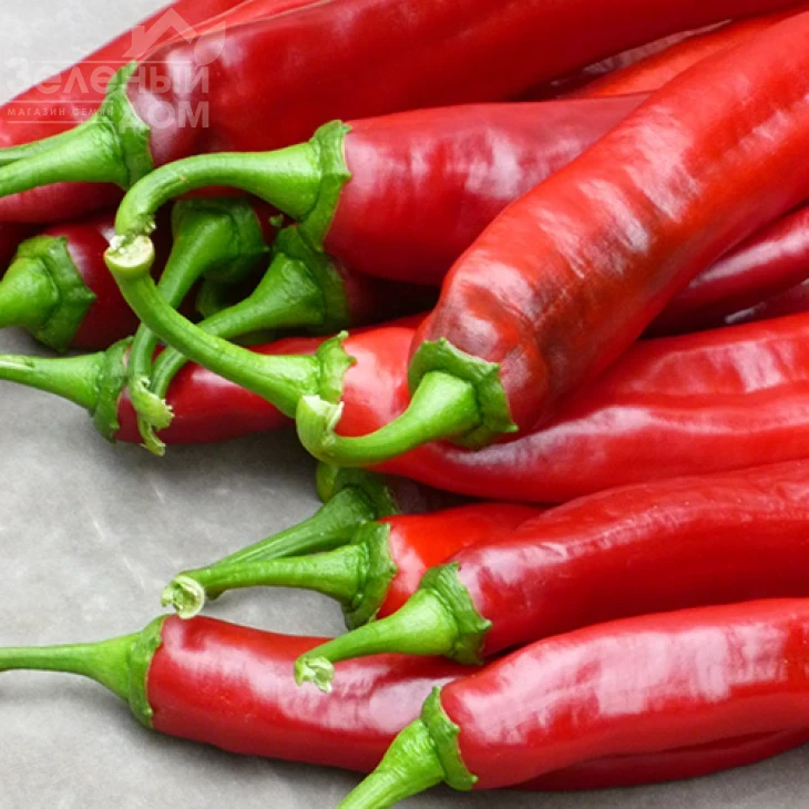 Палоташ F1 / Palotash F1, 95 -110 дней фото 4