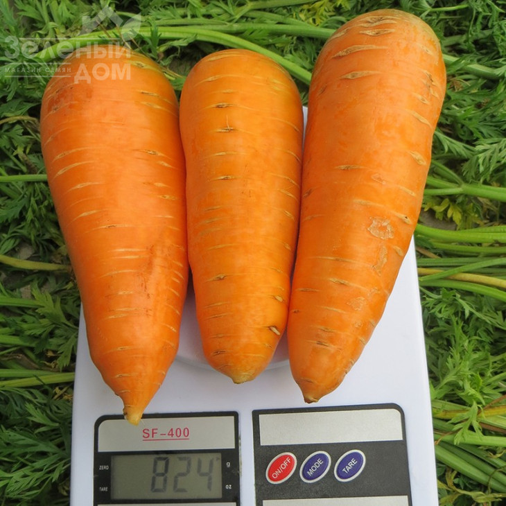 Болтекс / Boltex,110-120 днів фото 3