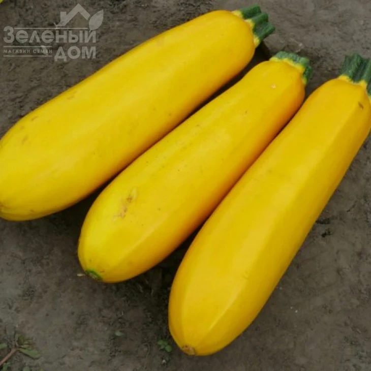 Голдстик F1 / Goldstik F1,45 дней фото 3