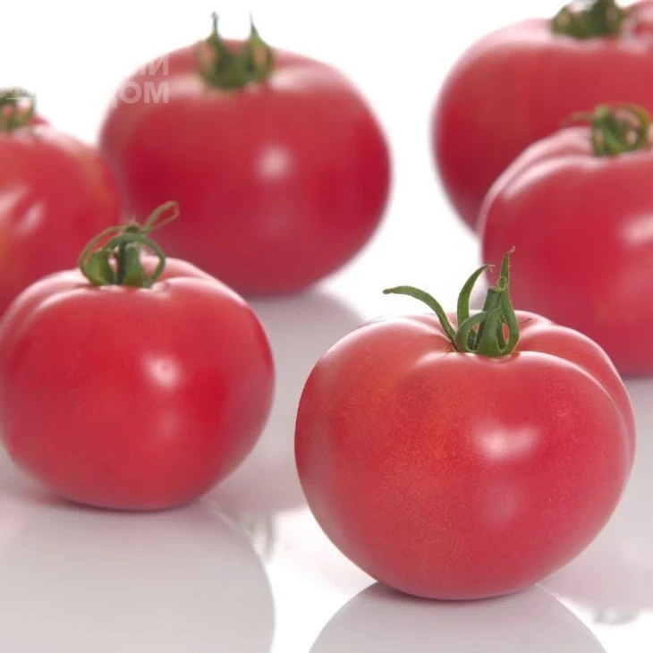 Пинк Мун F1 / Pink Moon F1 фото 1