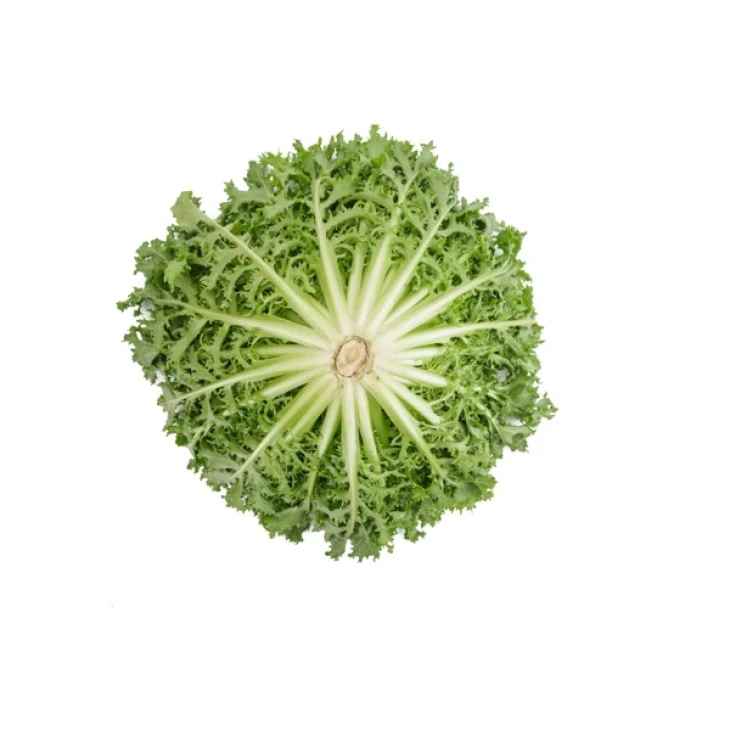 Берлінал / Berlinal фото 3