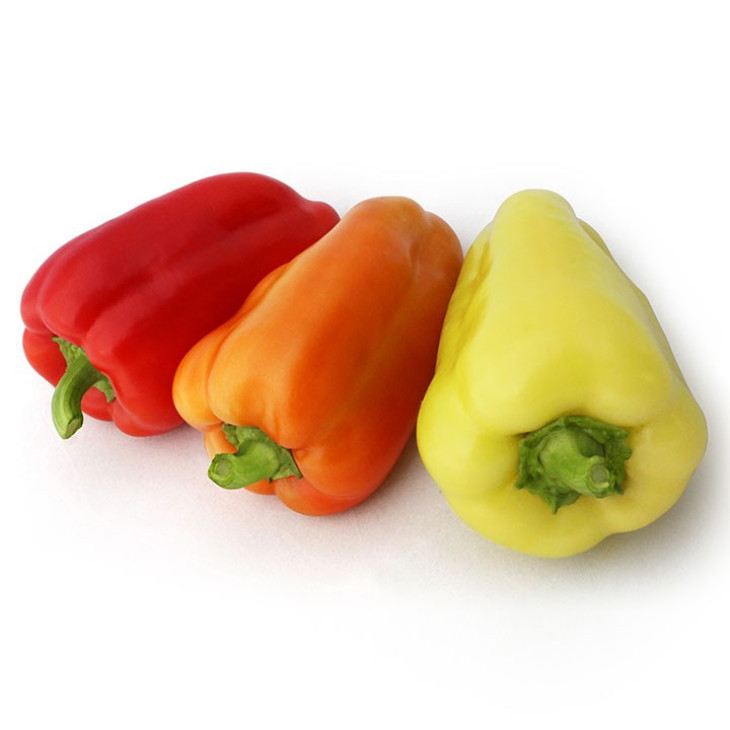 Яніка F1 / Janika F1 фото 1