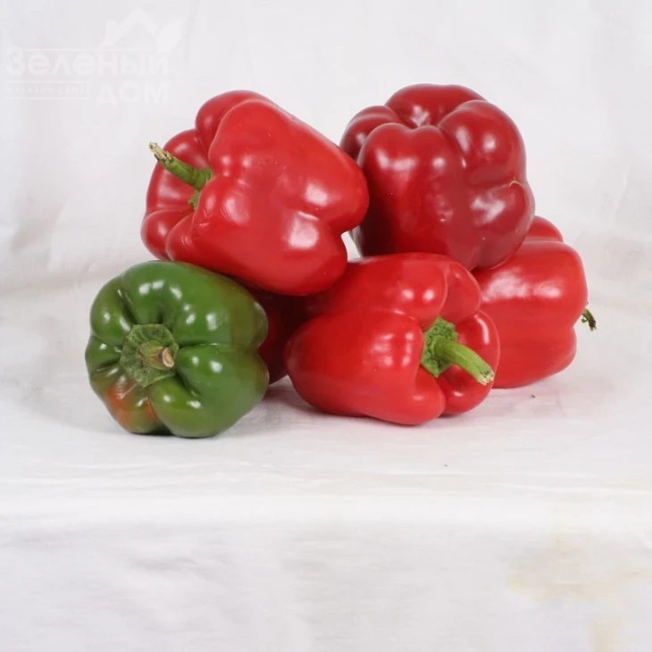 Геркулес F1 / Hercules F1,75 дней фото 1