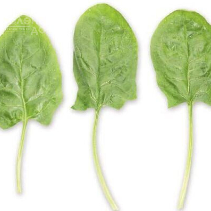 Гну F1 / Gnu F1 фото 1