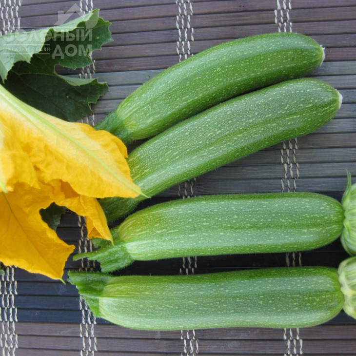 Мерлін (INX 10554) F1 / Merlin (INX 10554) F1 фото 1