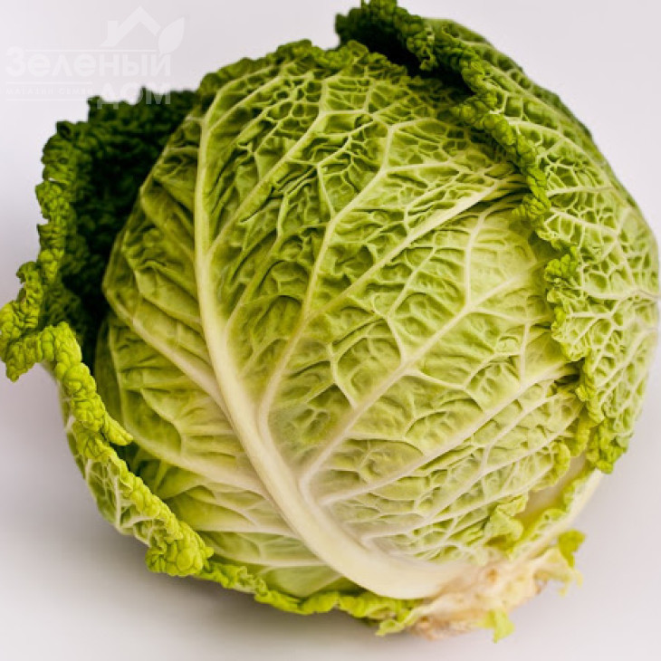 Серпантін F1 / Serpantin F1,100-110 днів фото 1