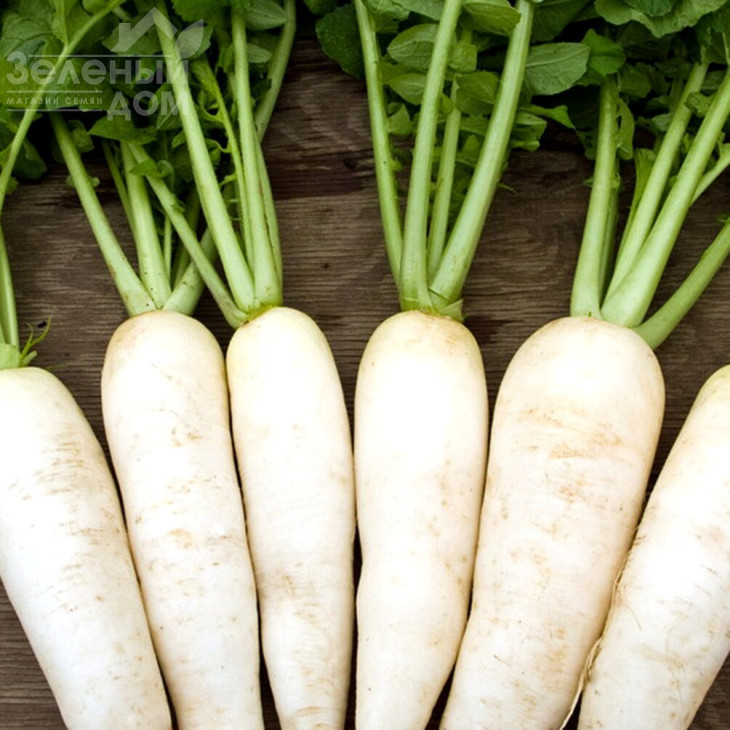 Вайт Фанг F1 / White Fang F1 фото 1