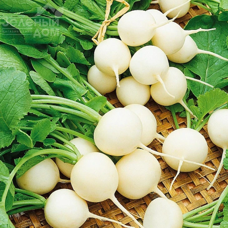 Витни / Vitni фото 1