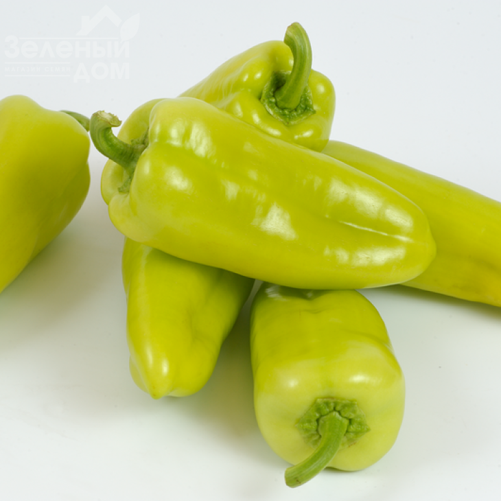 Піроует F1 / Pirouet F1 фото 3