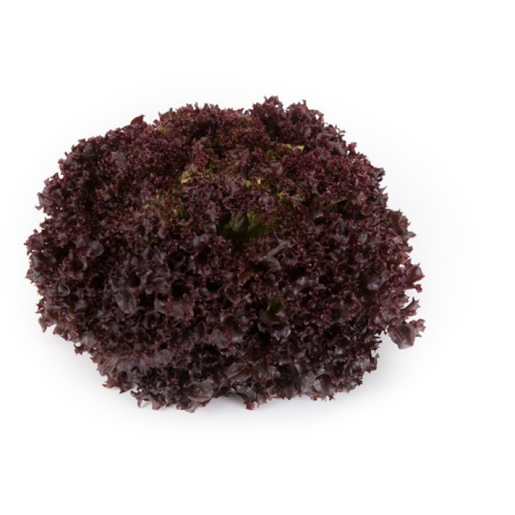 Атмос / Athmos фото 1