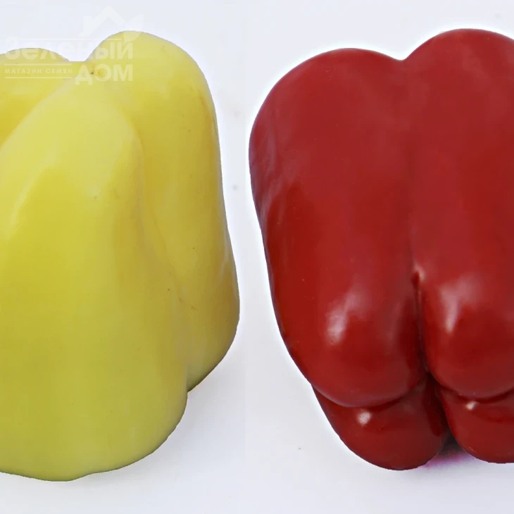 ЛС 13110 F1 / LS 13110 F1,80-85 дней фото 2