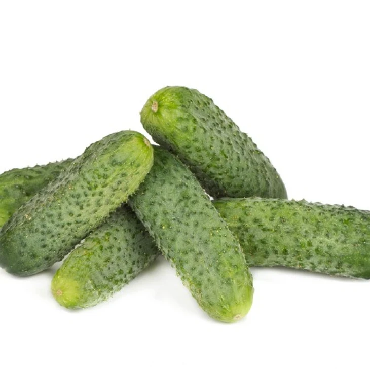 Берлиоз F1 / Berlioz F1 фото 1