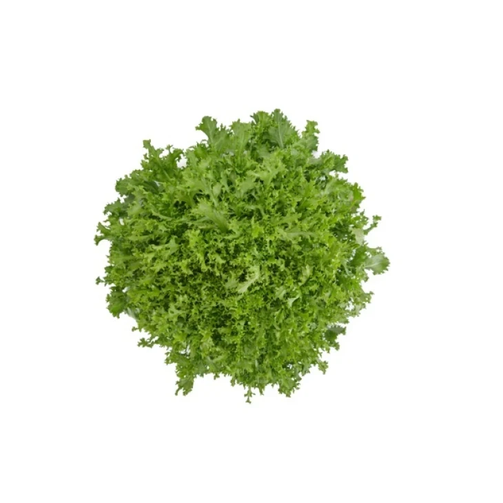 Берлінал / Berlinal фото 1