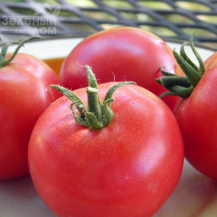 Роялпінк F1 / Royalpink F1 фото 2