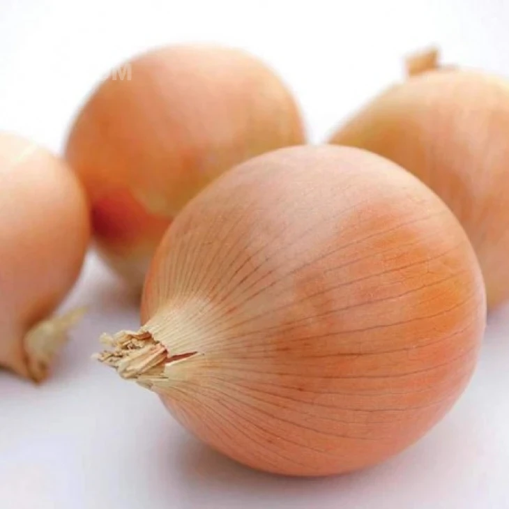 Винтерия / Vinteriya,260-280 дней фото 1