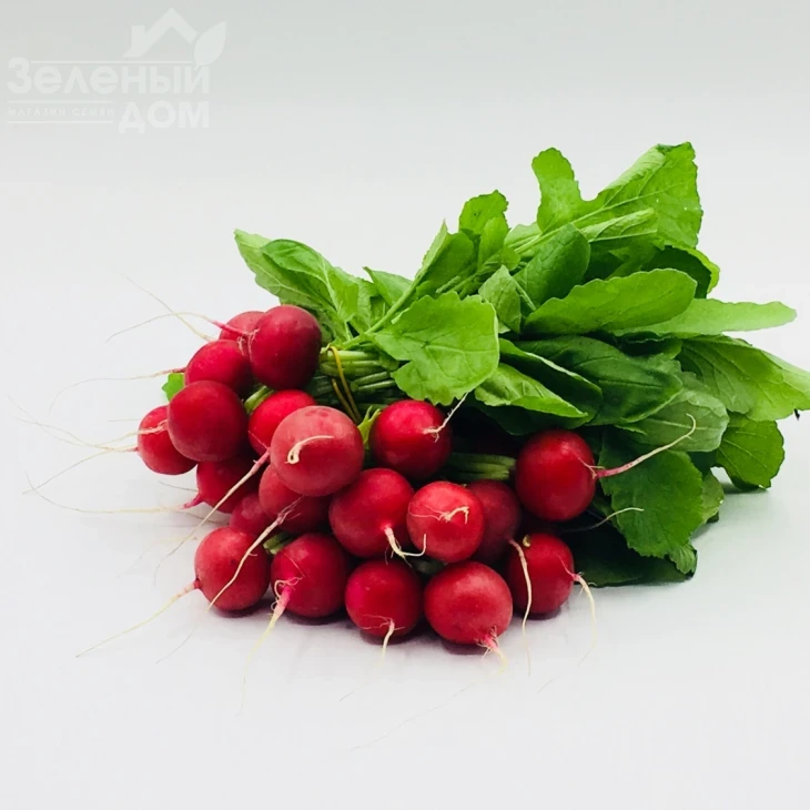 Прада F1 / Prada F1, 25-35 дней фото 6