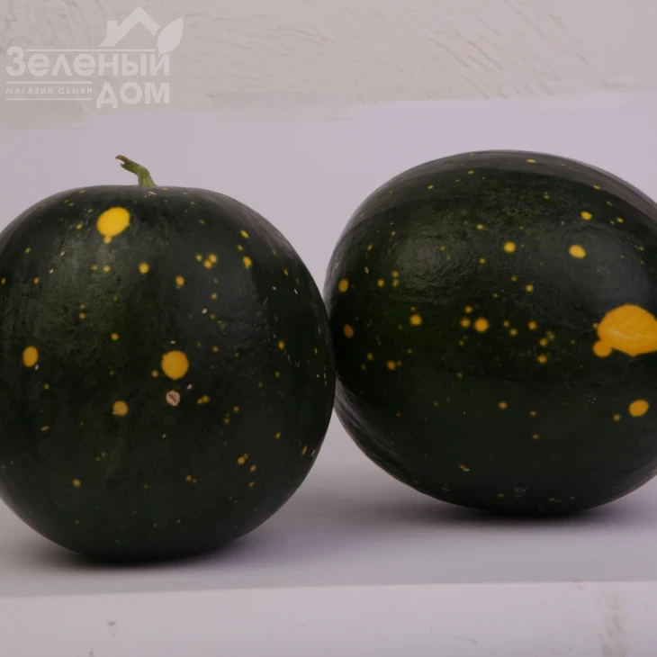 Звездное небо F1 / Zvezdnoe nebo F1 фото 3