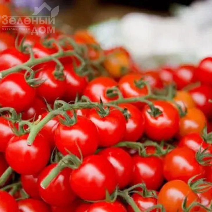 Идил / Idil фото 1