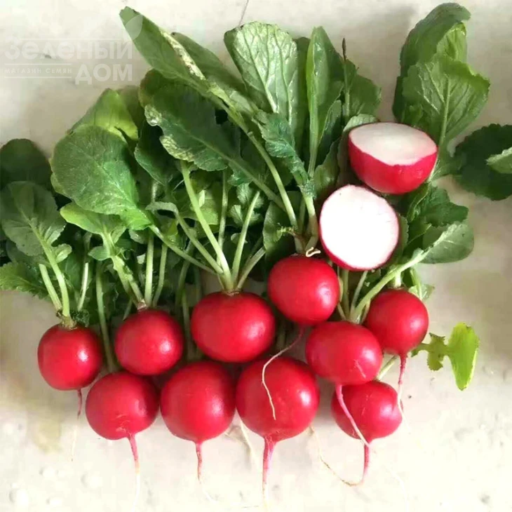 Чері Бел / Cherry Bell фото 1