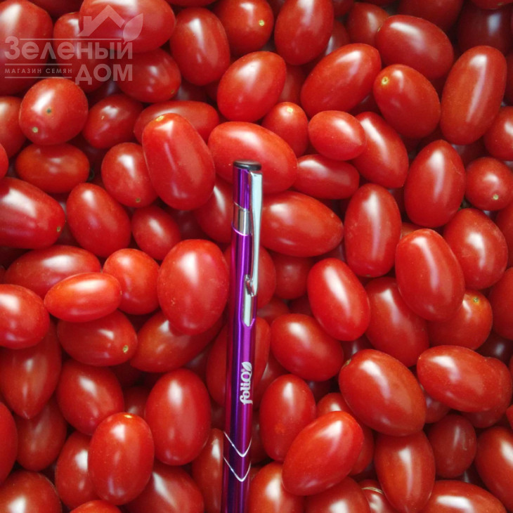 Дольчесіо F1 / Dolchicio F1,95-105 днів фото 1